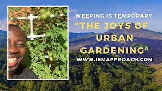 The joys of urban gardening: Keep sowing