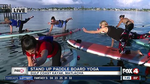 Stand up paddle board yoga in Matlacha - 7:30am live report