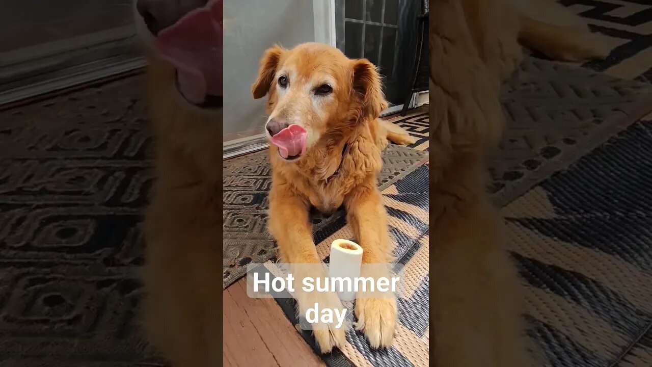 Titan Age 12 hot summer day best day ever! #best #life