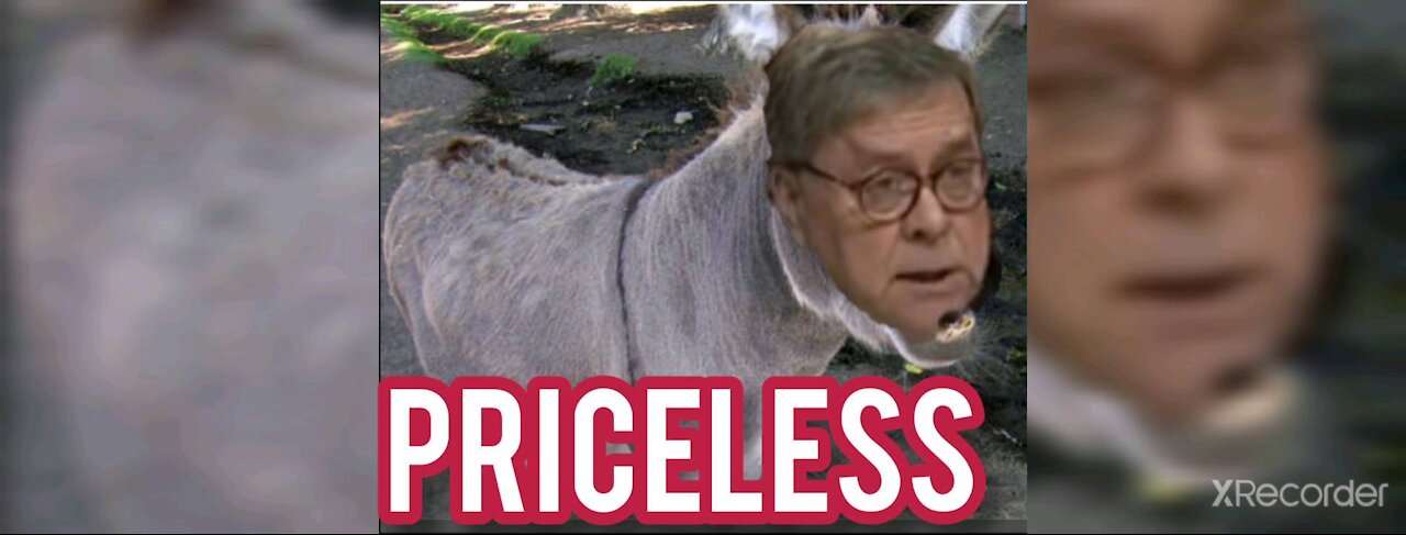 I AM NOT A CAT ! PRICELESS CLOSER LOOK!