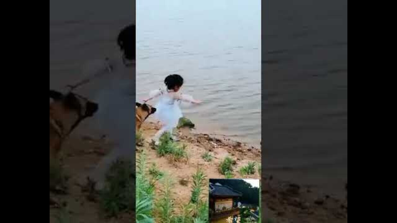 Dog Save the girl like a hero | impossible thing