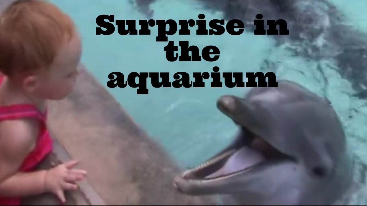 SURPRISE