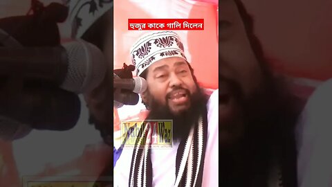 হুজুর কাকে গালি দিলেন |#shortsfeed #shortsyoutube #shorts #shortfeed #shortsviral #shortsviral