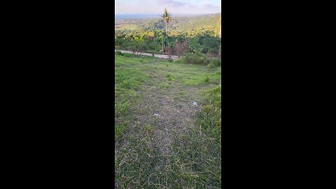 Connect with nature. #earth