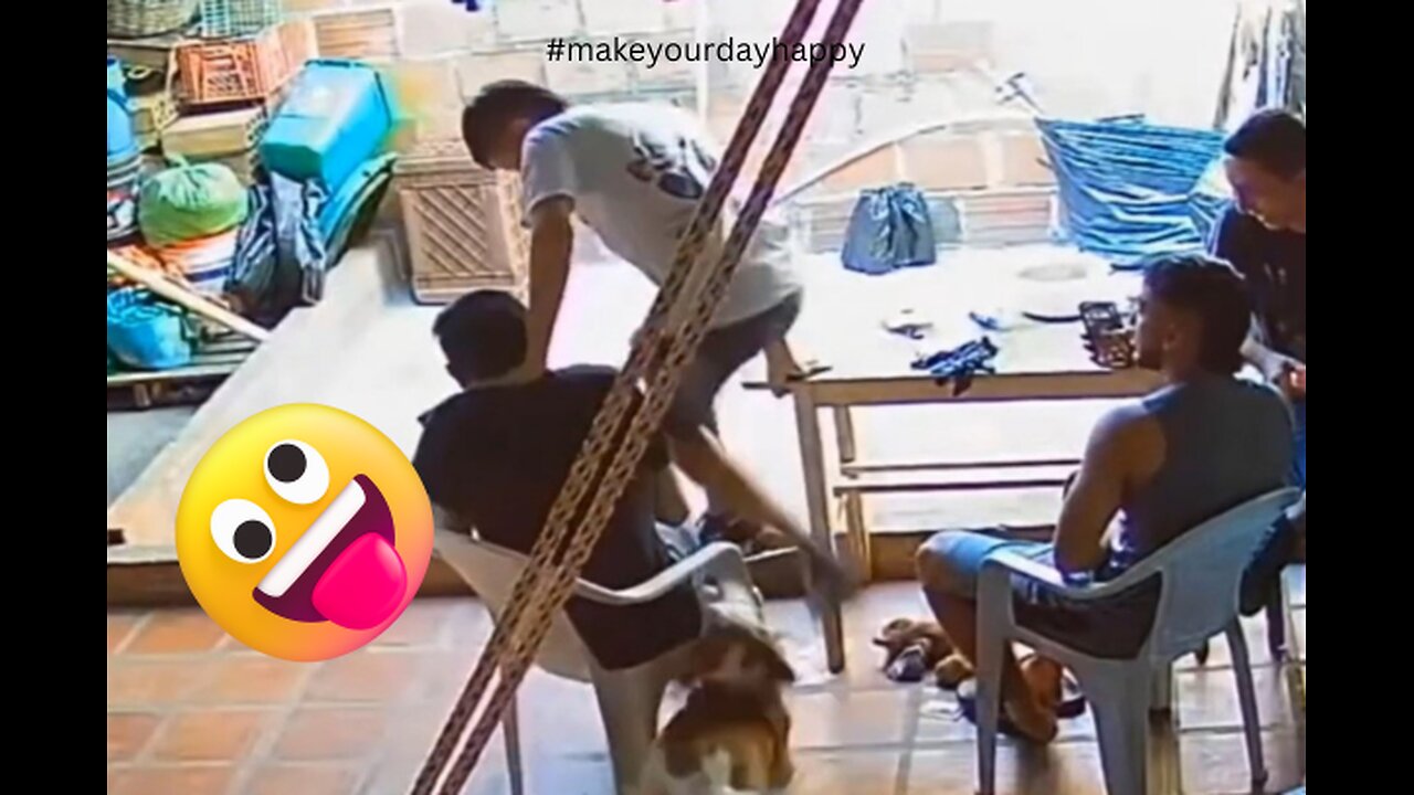 TRY NOT TO LAUGH !! 😜 🤪 FUNNY COMPILATION PART 2