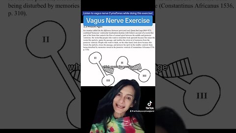Vagus Nerve Stimulation Pineal Gland Brain Exercise
