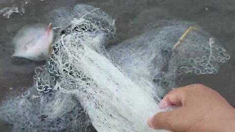 Jala Ikan di Bibir Pantai Indramayu