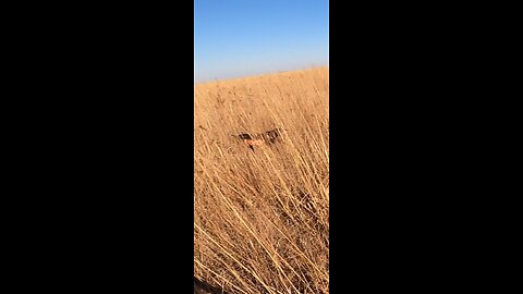 Tracking