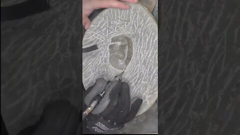 208 hours to remove the rock from a 12 million year old crab #fossil #geology #science #dinosaur
