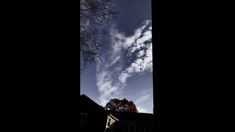 BeyondTheSpectrum 11/2023