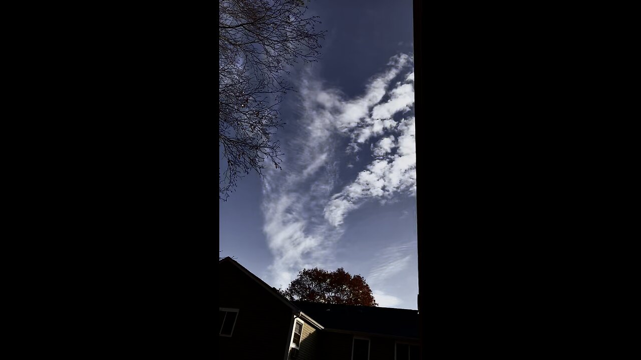 BeyondTheSpectrum 11/2023