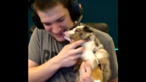 Meet Our New Dog Coco!