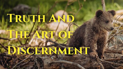 Truth and The Art of Discernment