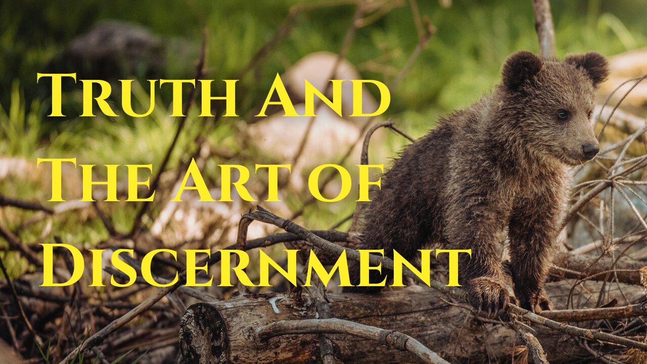 Truth and The Art of Discernment