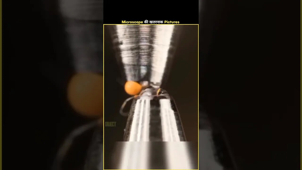 Microscope की गज़ब Pictures 🤯 #shorts #facts