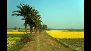 Natural Beauty of Bangladesh