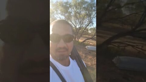 guns #shorts #guns #edc #mossberg #judge #hunting #army