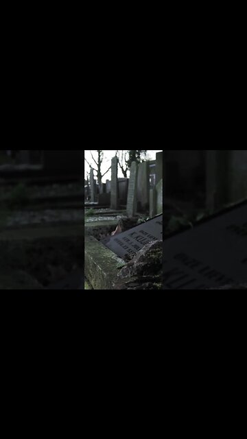 New video out three days solo trip camping on a scary island full of graves￼ #shorts