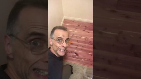 I’ve been living in the closet!