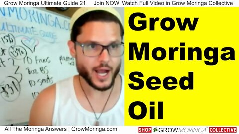 Pressing Moringa Seeds for Oil Has Many Uses in Cosmetics, Shampoos, Lotions, Hair and Skin Beauty