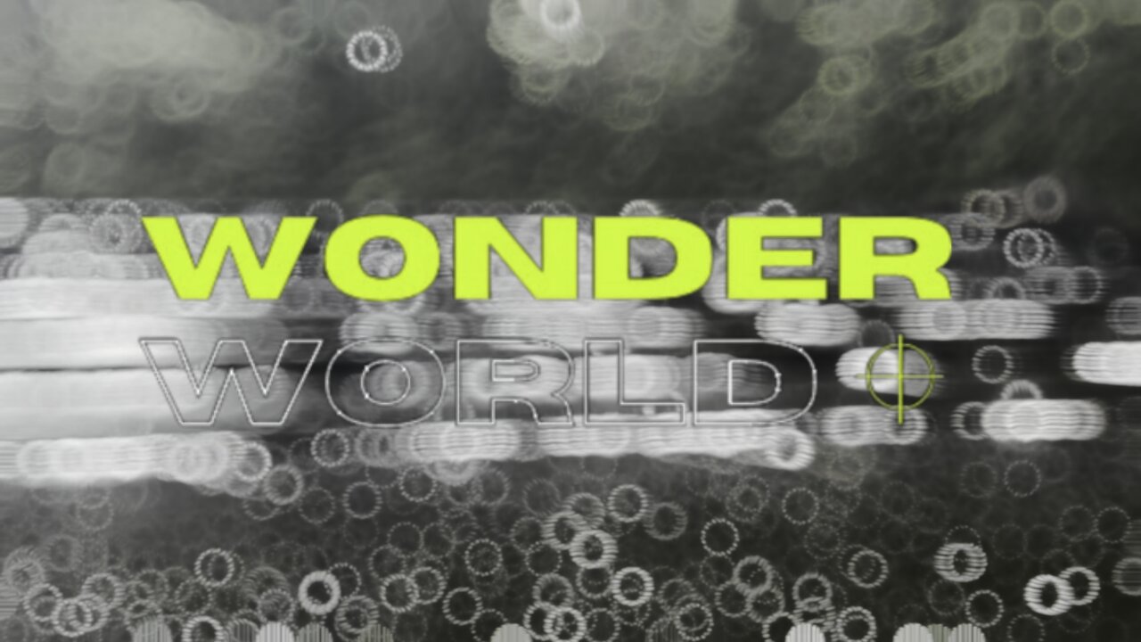 WONDER WORLD !!!