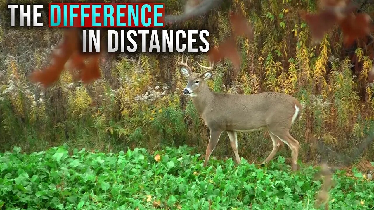 Test: Different Arrows at Different Distances