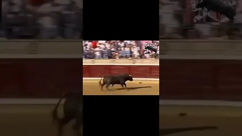 Bull attacks crowd and cucks matador #zoobox #nonsense #bull #flowers #mileycyrus