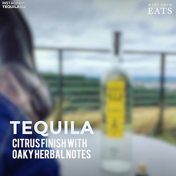 The 6 Agave Spirits of Mexico