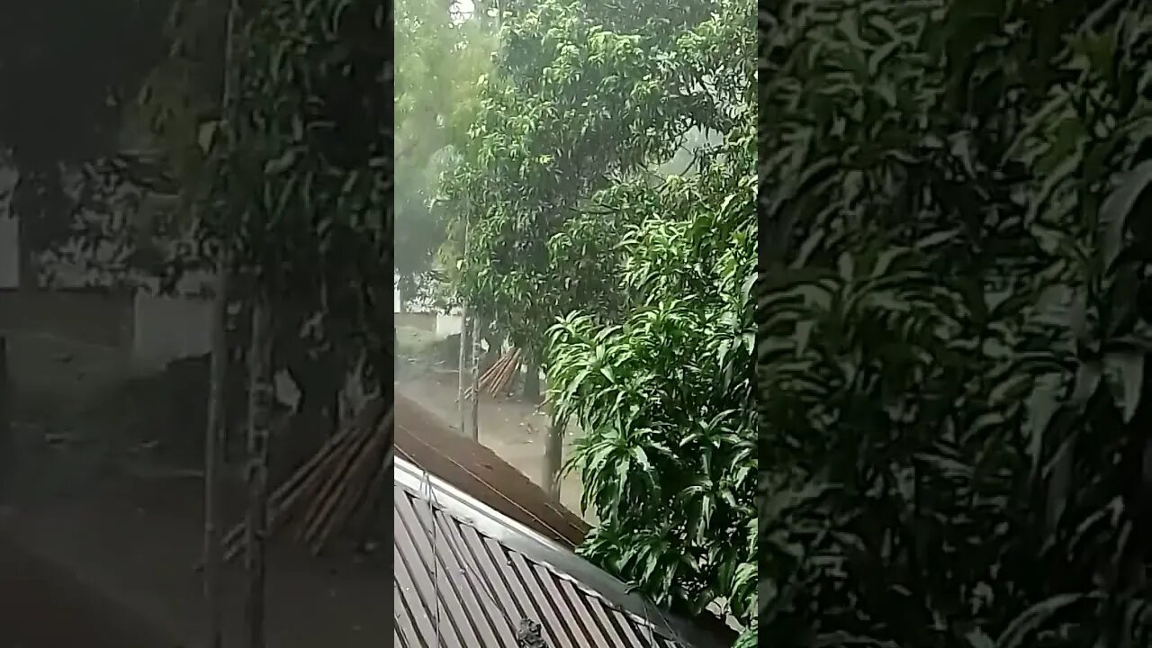 মুশুল ধারে বৃষ্টি দেখে আমি মুগ্ধ।।।।৷