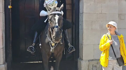 He turned his back on the horse #horseguardsparade