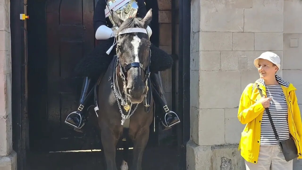 He turned his back on the horse #horseguardsparade