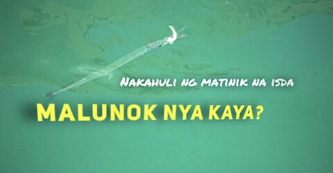 Nakahuli ng napakatinik na isda, Malunok nya kaya?