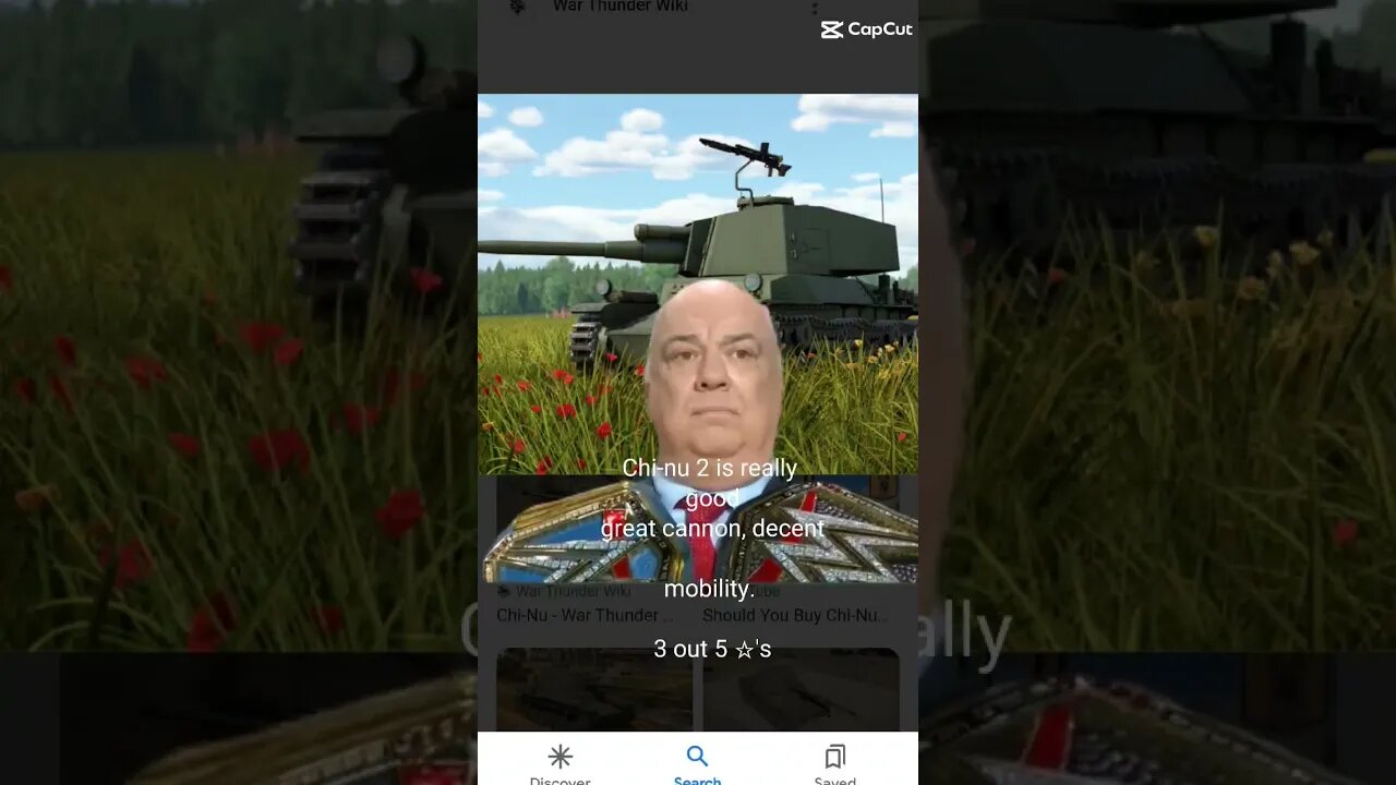 Rate that tank - Chi-Nu 2