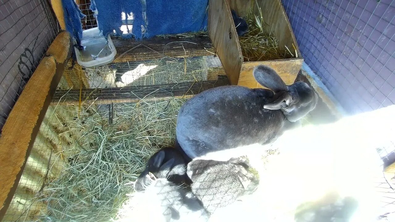 Aaron Smith-Levin: Scientology | Lex Fridman Podcast #361