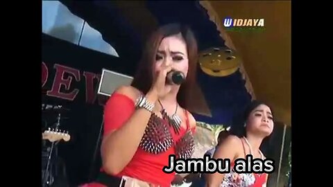 [Jambu Alas] | Dangdut Koplo | CKD MUSIC MANAGEMENT
