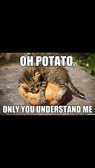 Wanna know the health benefits of cloves?