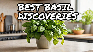 Discover the Secret to the Best Basil Varieties!