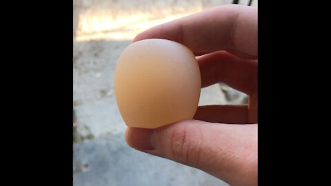 My chicken has laid jelly egg [REAL]