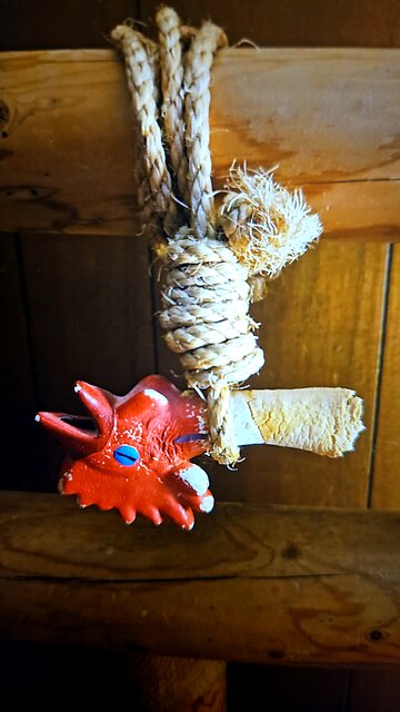 THE CHICKIN CHOKIN AWARDS