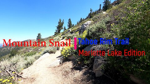 Tahoe Rim Trail/Marlette Lake