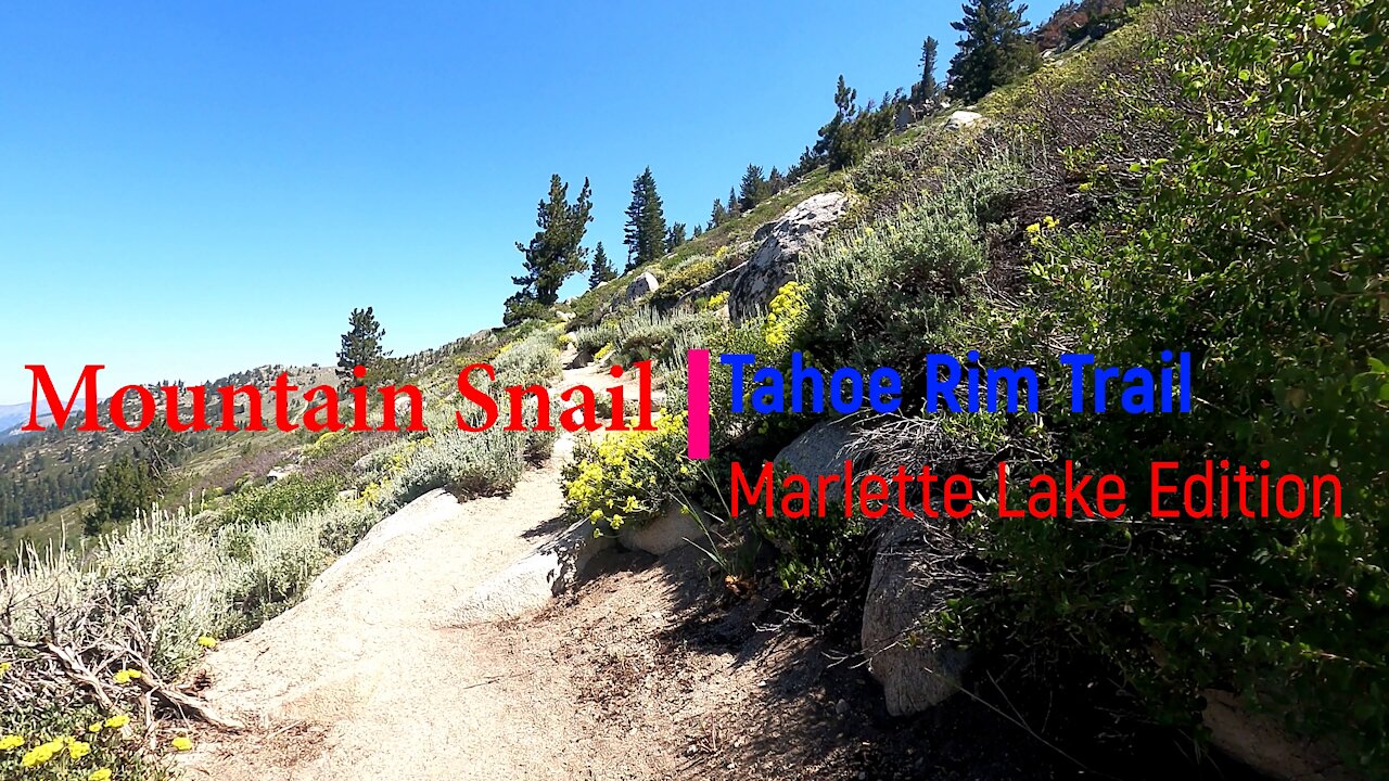 Tahoe Rim Trail/Marlette Lake