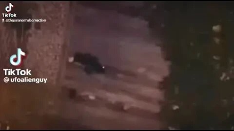 What is this?