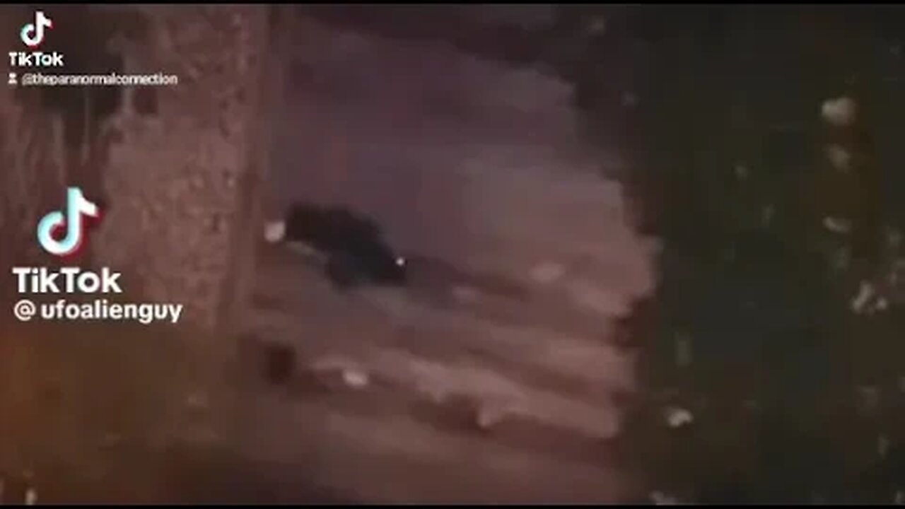 What is this?