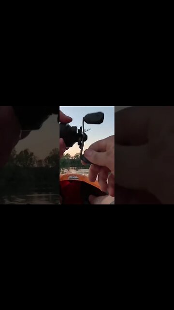 Bass Destroys SNAKE Lure…Twice!