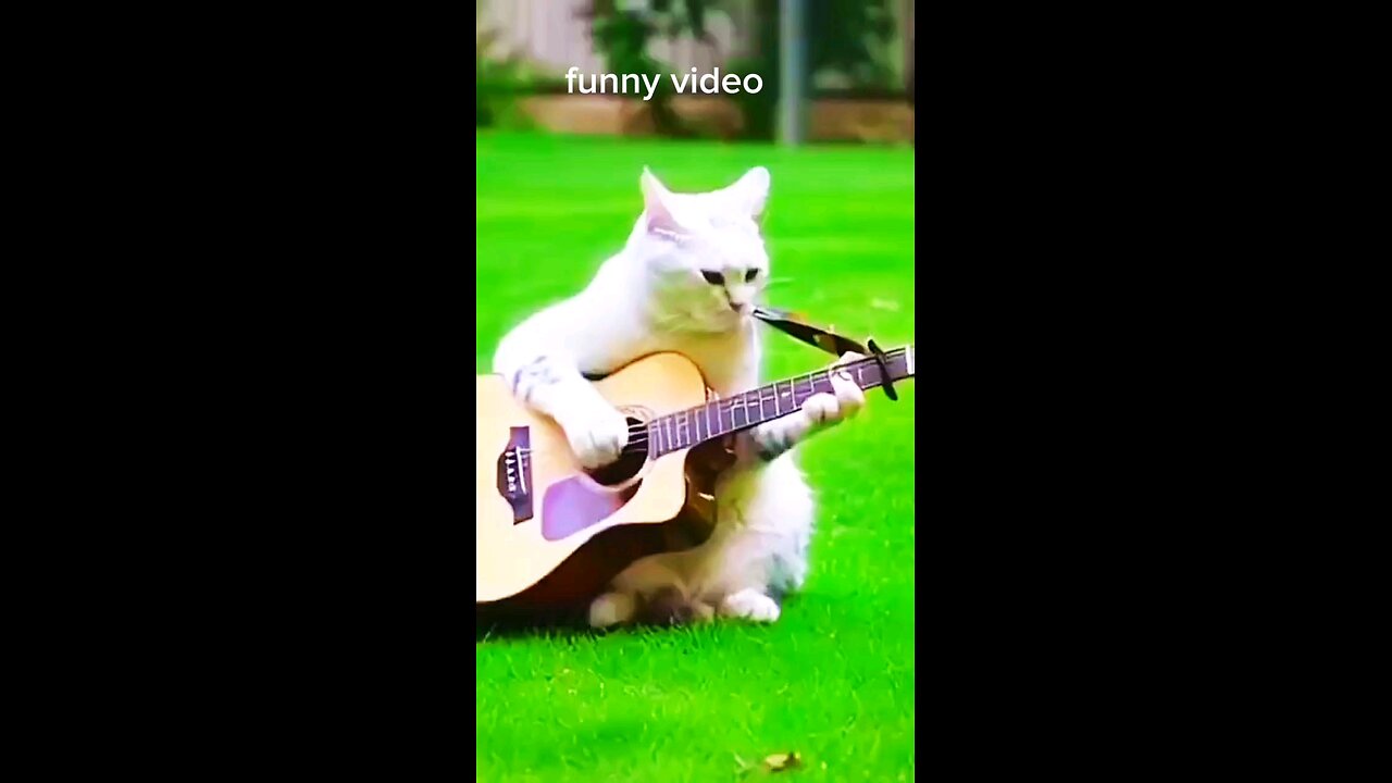 very funny video follow me