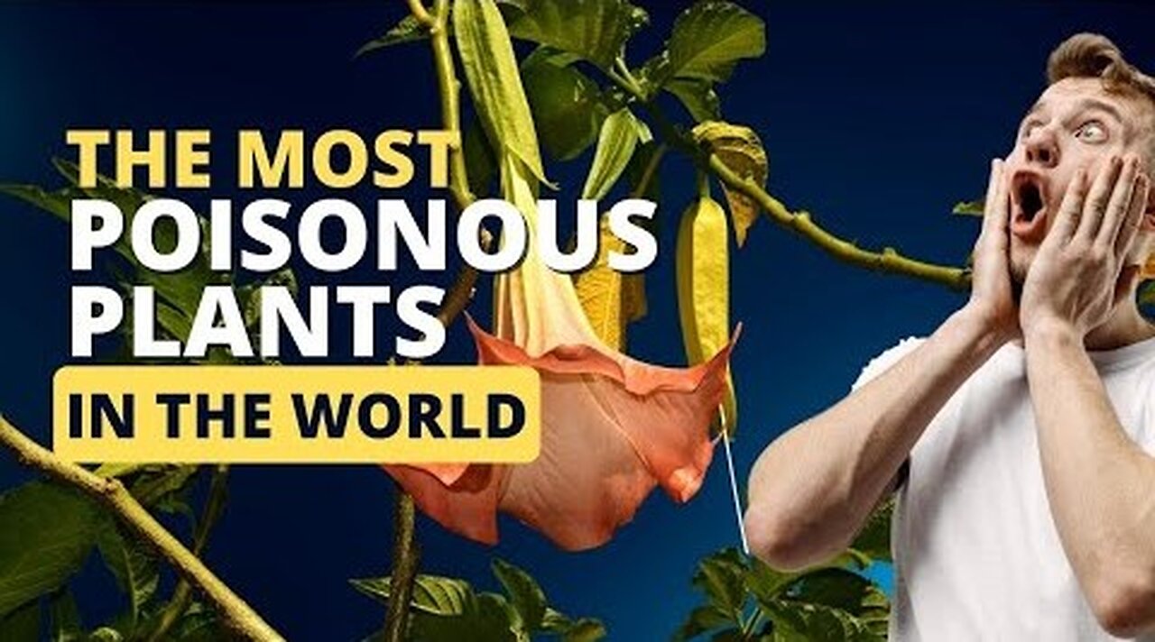 The Most Poisonous Plants In The World #interestingfacts