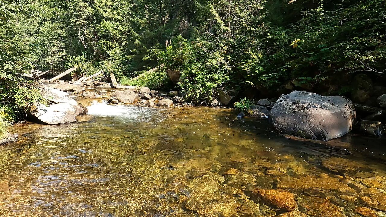 Unspoiled stream with pools of fish!