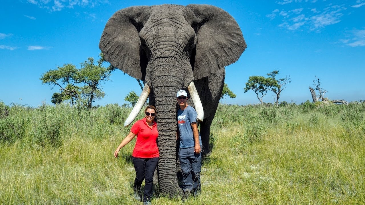 Our Unbelievable Amazing Morning with Two Orphan African Elephants