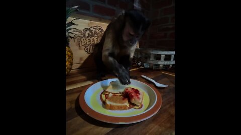 Pb&J