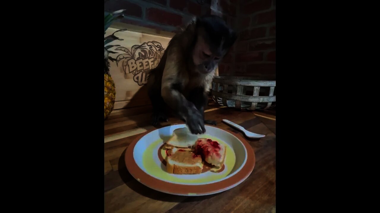 Pb&J